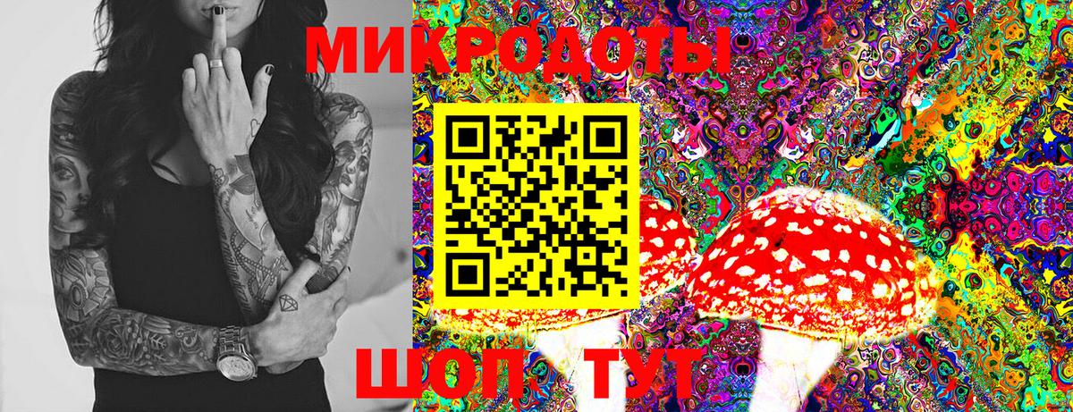 Псилоцибиновые грибы Magic Shrooms Карачаевск
