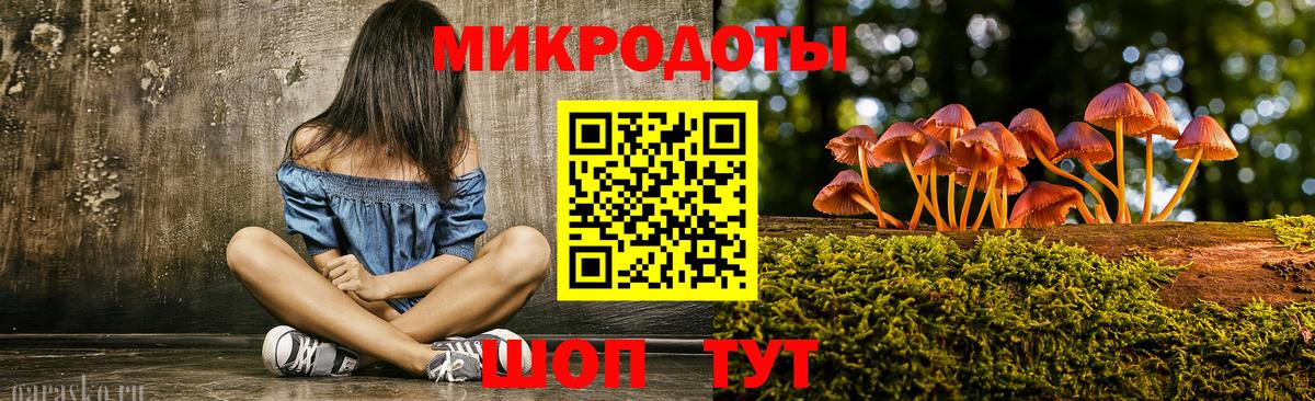 Карачаевск  Галлюциногенные грибы Cubensis  Вход с VPN 